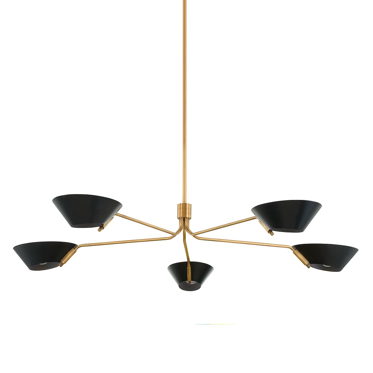 Herman 5 Light Chandelier in Patina Brass and Black-img-1