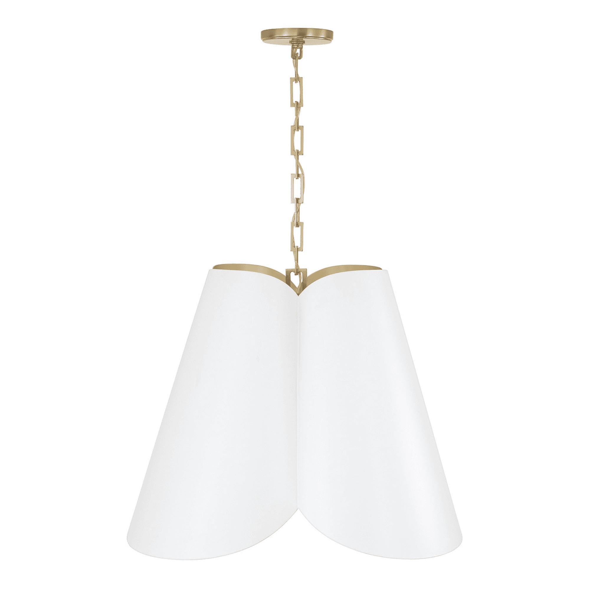 Botanical 4 Light Pendant in Matte Brass & White-img-4
