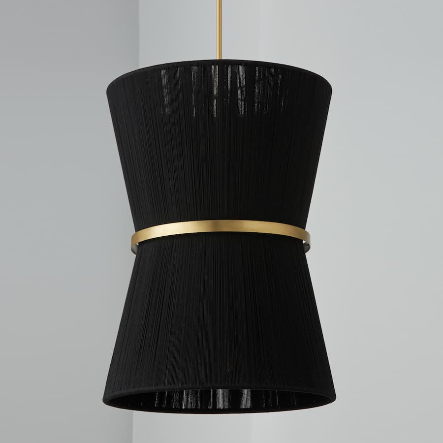 Fisher 6 Light Pendany in Brass & Black Rope-img-1