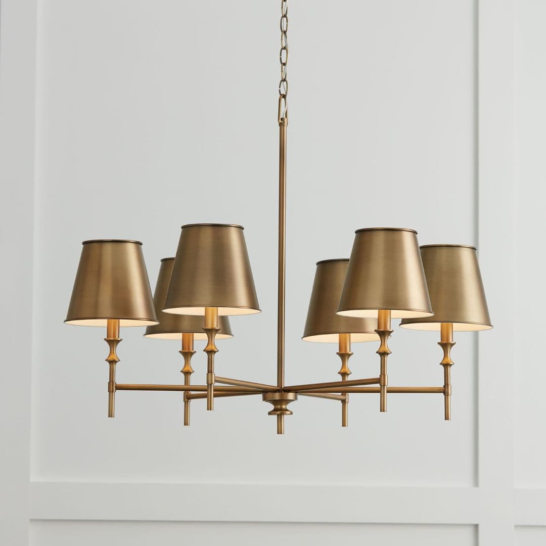 Barwon 6 Light Chandelier in Aged Brass-img-3