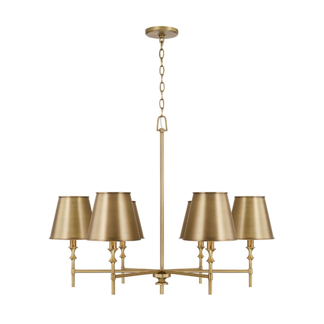 Barwon 6 Light Chandelier in Aged Brass-img-4