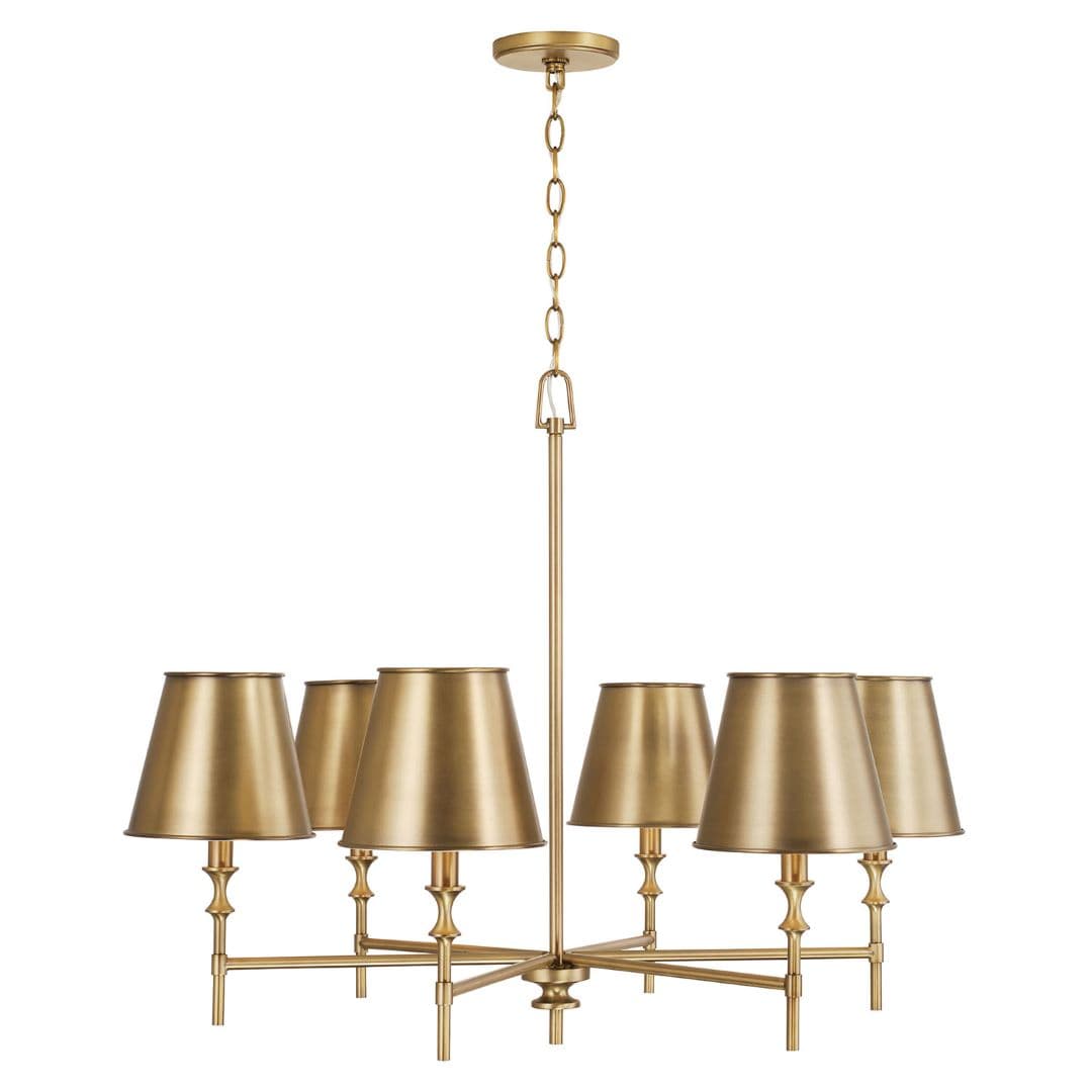 Barwon 6 Light Chandelier in Aged Brass-img-5