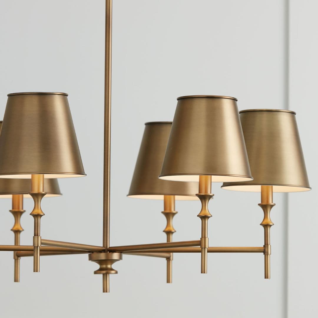 Barwon 6 Light Chandelier in Aged Brass-img-7