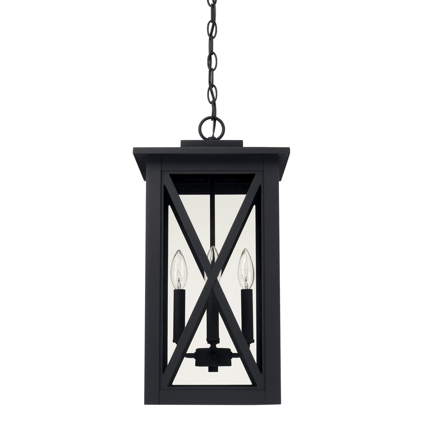 Avonport 4 Light Outdoor Hanging Lantern in Black-img-1