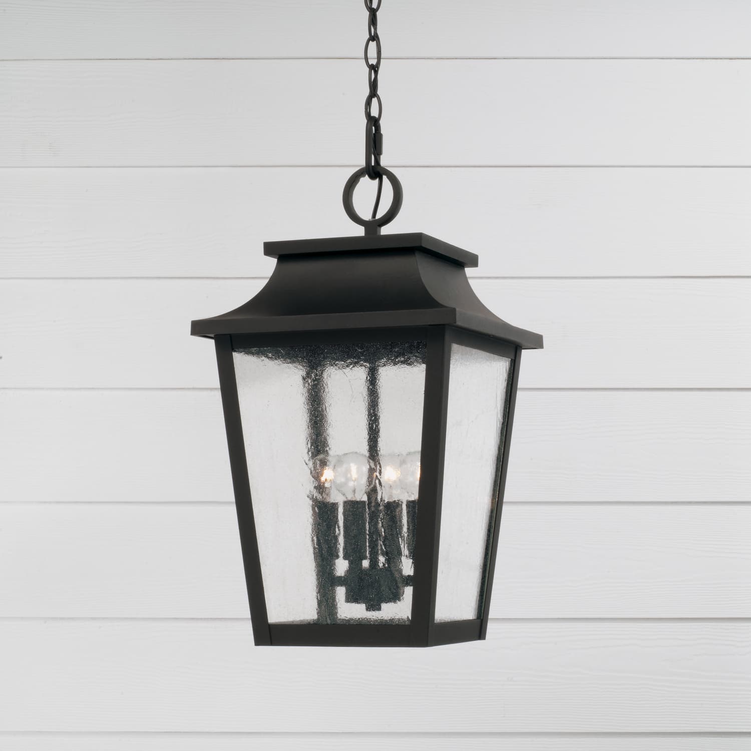 Everett 4 Light Outdoor Hanging Lantern in Black-img-1